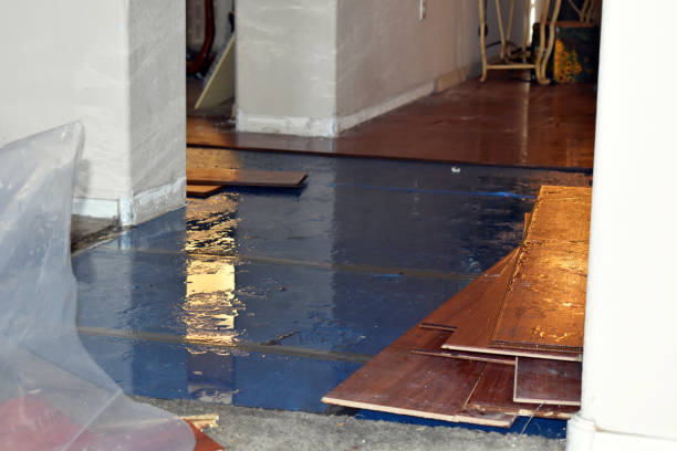 Professional Water Damage Restoration technician working in Nevada, MO